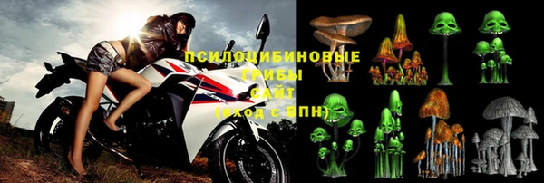бошки Верея