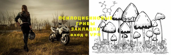 бошки Верея